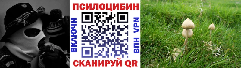 Галлюциногенные грибы мухоморы  Купить закладки  Волхов 